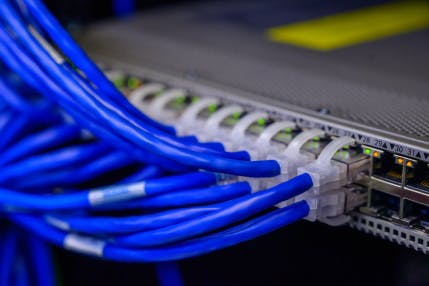 Blue network cables plugged into a data center switch